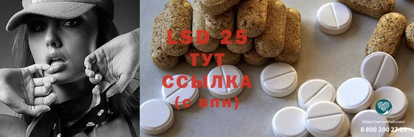 ПСИЛОЦИБИНОВЫЕ ГРИБЫ Липки