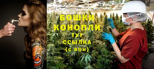ПСИЛОЦИБИНОВЫЕ ГРИБЫ Липки