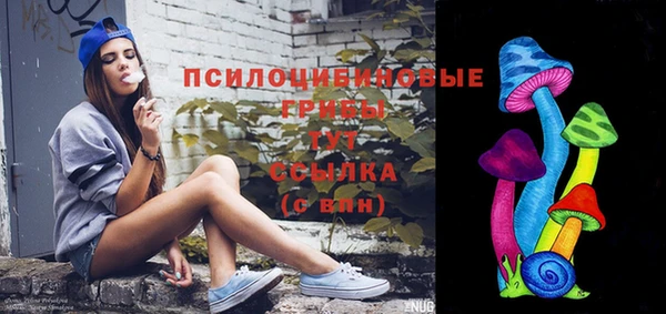 ПСИЛОЦИБИНОВЫЕ ГРИБЫ Липки