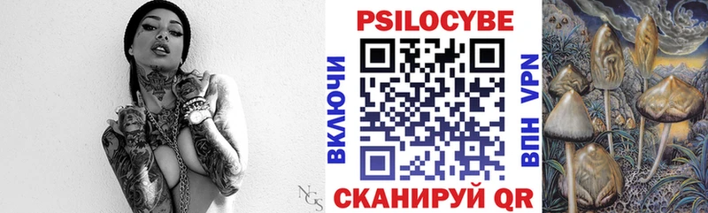 Псилоцибиновые грибы Psilocybe Новоульяновск